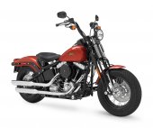 2011 Harley-Davidson FLSTSB Softail Cross Bones photo